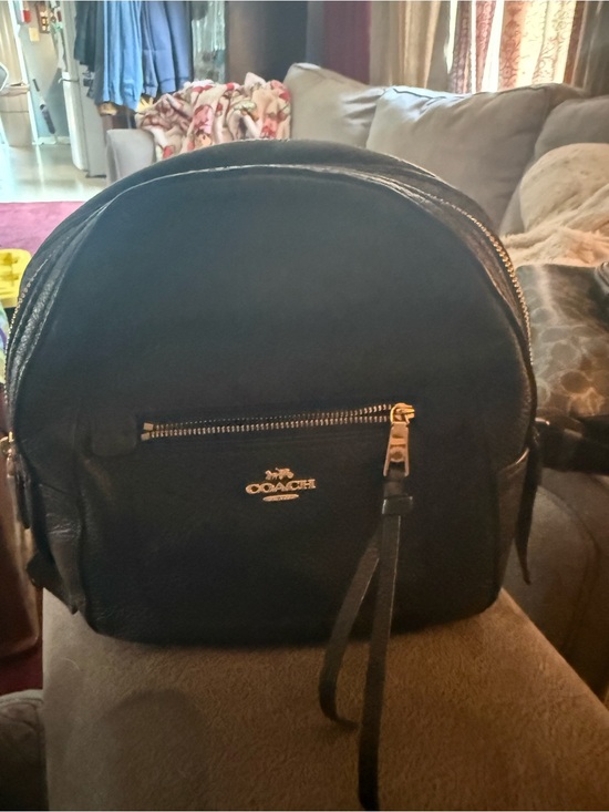 Coach Black Leather Mini Backpack with Gold Hardware